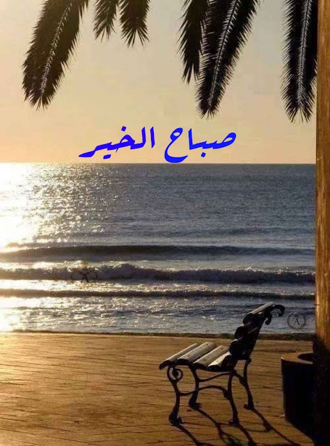 البوم صور