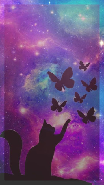 فراشات butterflies