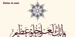 صور المولد النبوى الشريف 1445