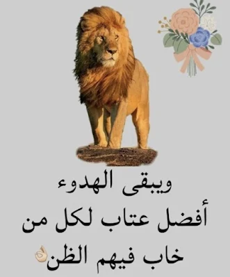 صور معبرة جدا