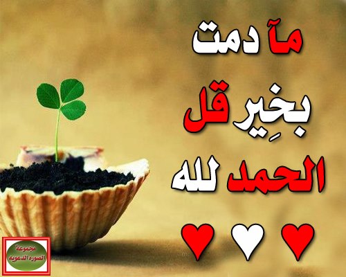 صور إسلامية جميلة ومتحركة