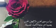 صور حلوة 2024 جميلة جدا