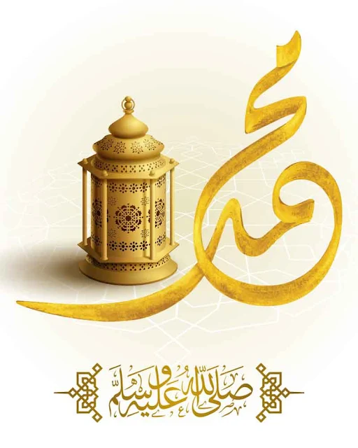 صور عن مولد النبي