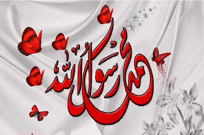 صور عن المولد النبوى