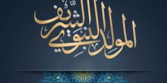 صور المولد النبوى الشريف 1446 علــىه الصلاة والسلام